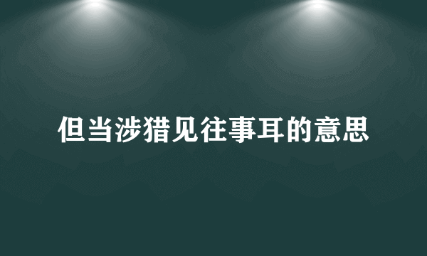 但当涉猎见往事耳的意思