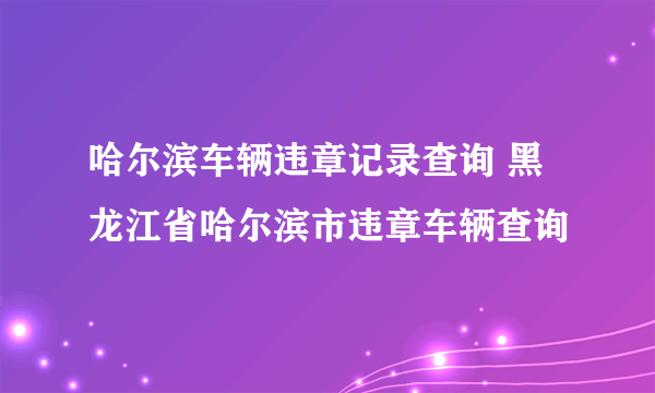 哈尔滨车辆违章记录查询 黑龙江省哈尔滨市违章车辆查询