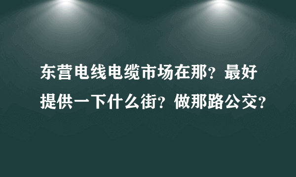 东营电线电缆市场在那？最好提供一下什么街？做那路公交？