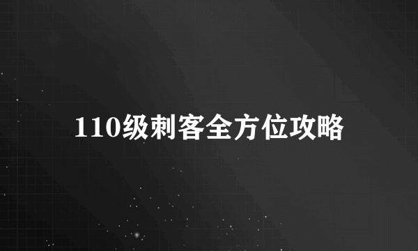 110级刺客全方位攻略