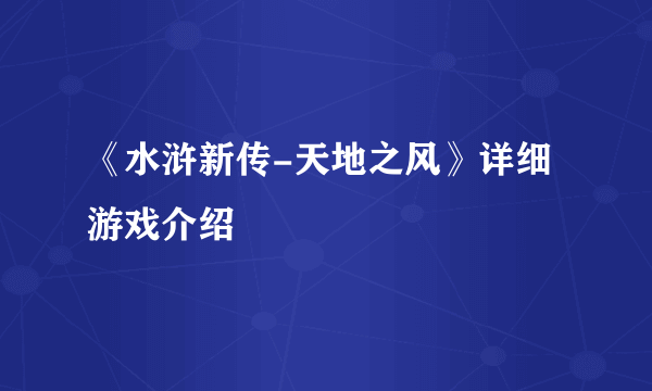 《水浒新传-天地之风》详细游戏介绍