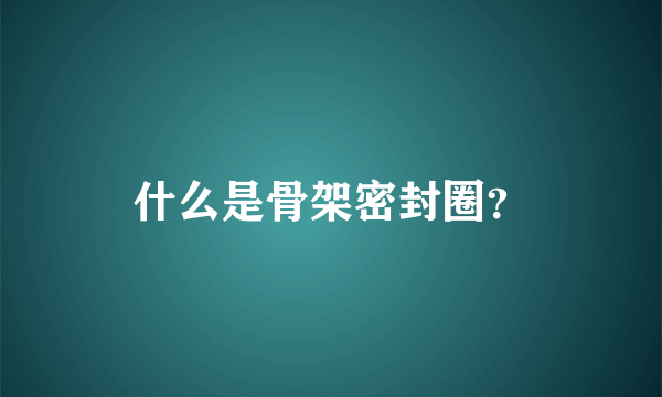 什么是骨架密封圈？