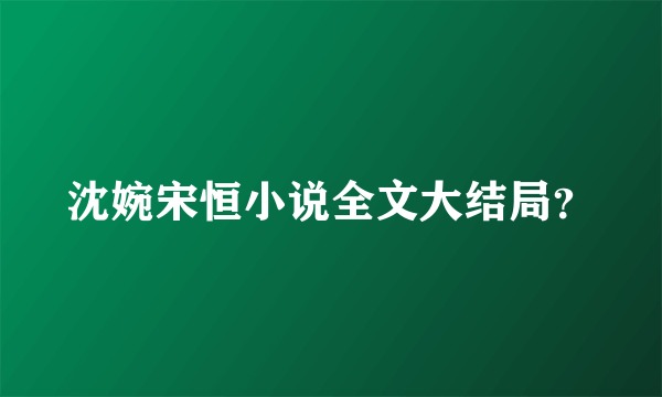 沈婉宋恒小说全文大结局？