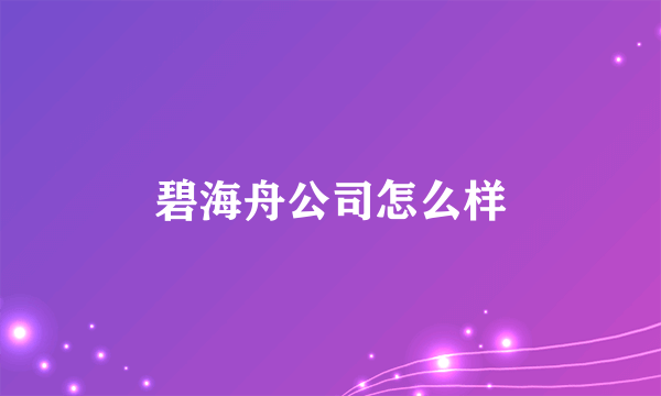 碧海舟公司怎么样