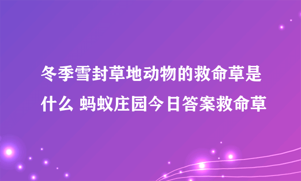 冬季雪封草地动物的救命草是什么 蚂蚁庄园今日答案救命草