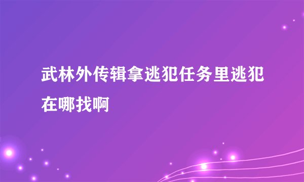 武林外传辑拿逃犯任务里逃犯在哪找啊