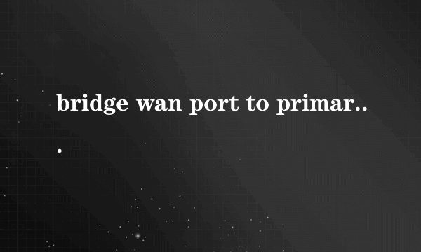 bridge wan port to primary lan 是什么意思