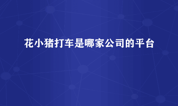 花小猪打车是哪家公司的平台