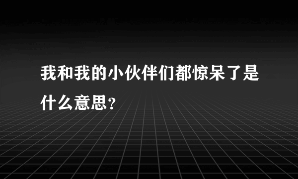 我和我的小伙伴们都惊呆了是什么意思？