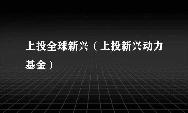 上投全球新兴（上投新兴动力基金）