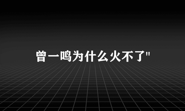 曾一鸣为什么火不了