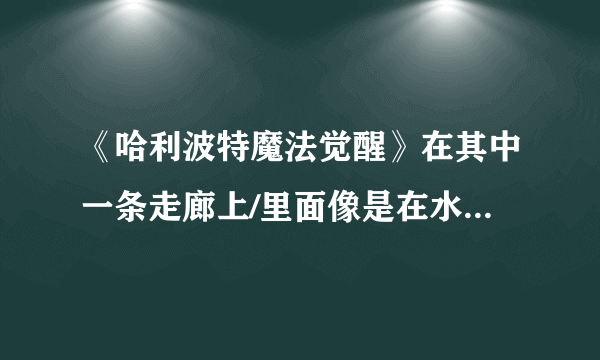 《哈利波特魔法觉醒》在其中一条走廊上/里面像是在水下但是外面还有糟线索在哪里 里面像是在水下线索在哪里