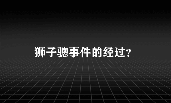 狮子骢事件的经过？