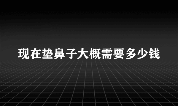 现在垫鼻子大概需要多少钱