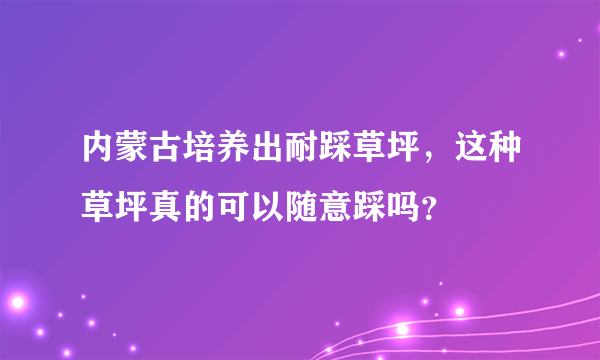 内蒙古培养出耐踩草坪，这种草坪真的可以随意踩吗？