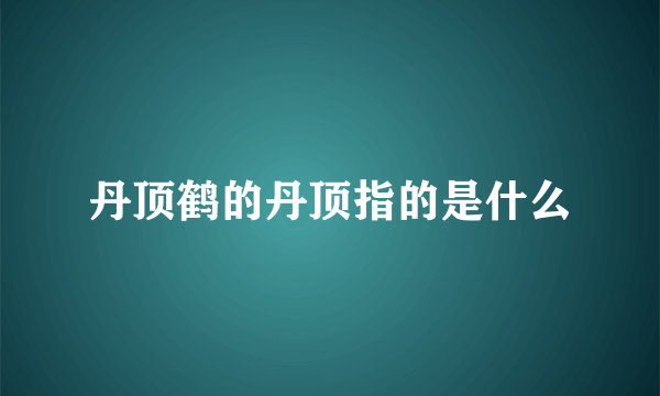 丹顶鹤的丹顶指的是什么