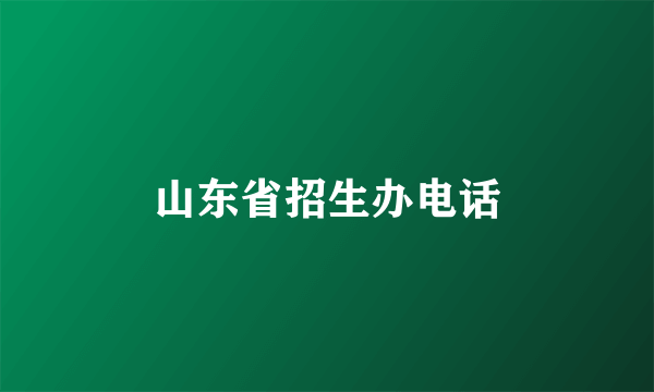 山东省招生办电话