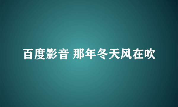 百度影音 那年冬天风在吹