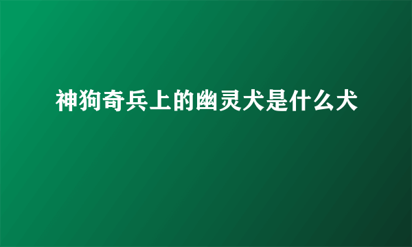 神狗奇兵上的幽灵犬是什么犬