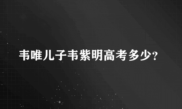 韦唯儿子韦紫明高考多少？