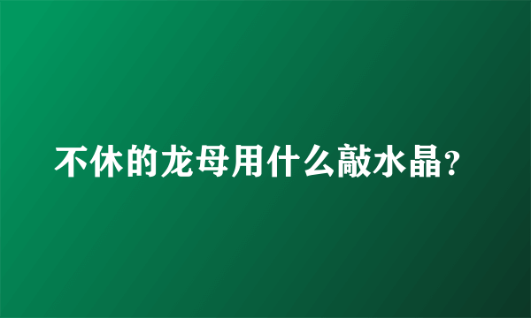 不休的龙母用什么敲水晶？