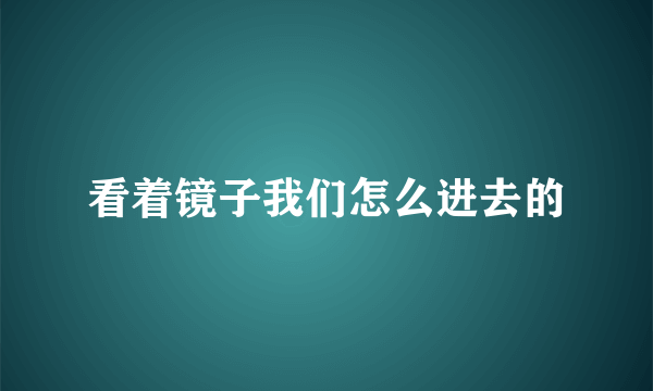 看着镜子我们怎么进去的