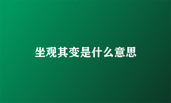 坐观其变是什么意思