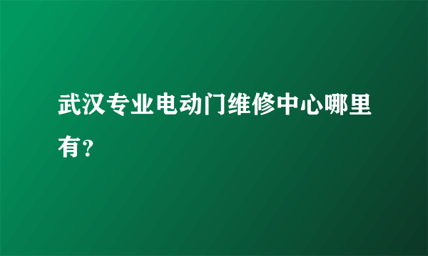 武汉专业电动门维修中心哪里有？