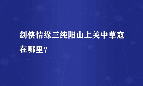 剑侠情缘三纯阳山上关中草寇在哪里？