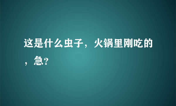 这是什么虫子，火锅里刚吃的，急？