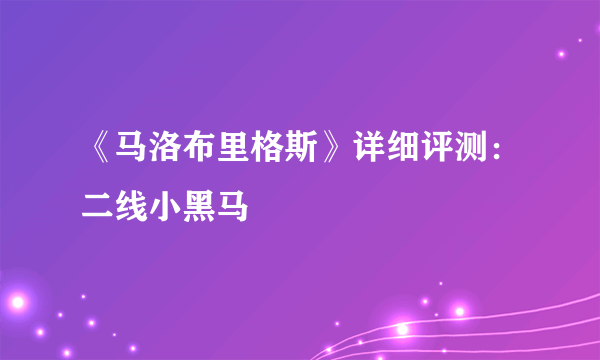 《马洛布里格斯》详细评测：二线小黑马