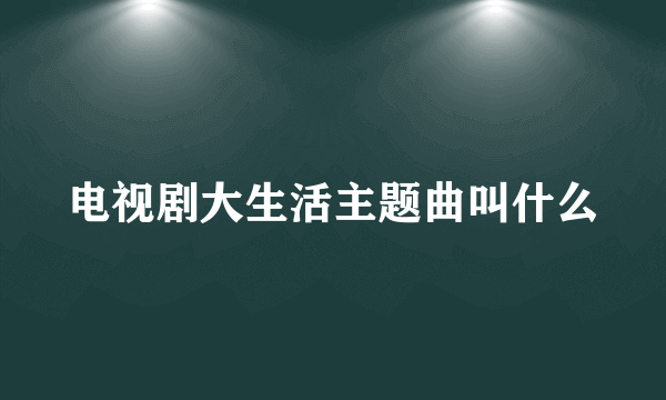 电视剧大生活主题曲叫什么