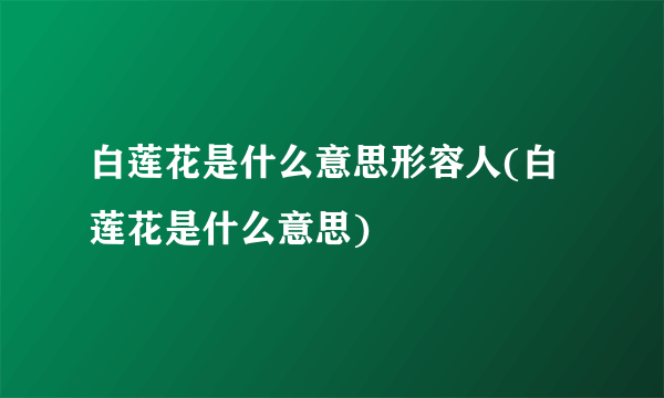 白莲花是什么意思形容人(白莲花是什么意思)