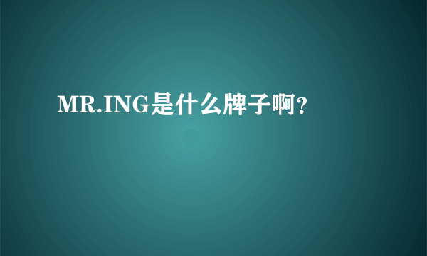 MR.ING是什么牌子啊？