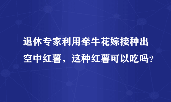 退休专家利用牵牛花嫁接种出空中红薯，这种红薯可以吃吗？