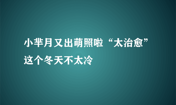 小芈月又出萌照啦“太治愈”这个冬天不太冷