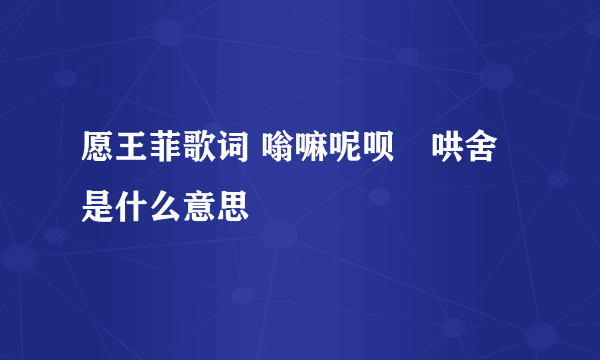 愿王菲歌词 嗡嘛呢呗嚒哄舍 是什么意思