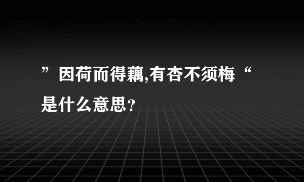 ”因荷而得藕,有杏不须梅“是什么意思？