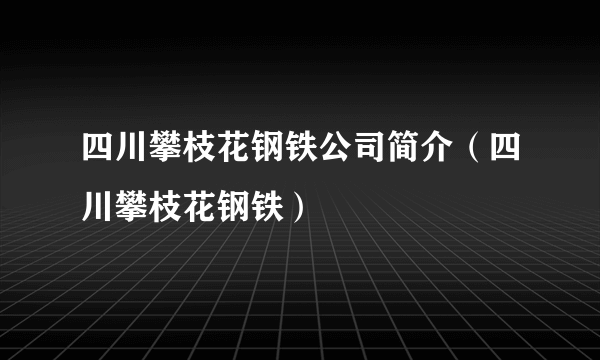 四川攀枝花钢铁公司简介（四川攀枝花钢铁）