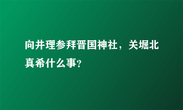 向井理参拜晋国神社，关堀北真希什么事？