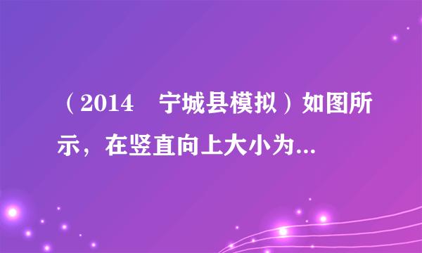 （2014•宁城县模拟）如图所示，在竖直向上大小为10N的力F的作用下，重物A沿竖直方向匀速上升．已知重物A上升速度为0