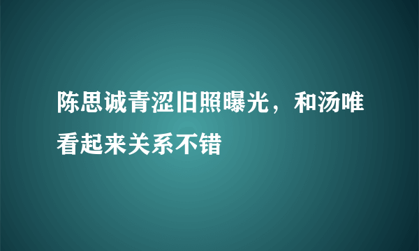 陈思诚青涩旧照曝光，和汤唯看起来关系不错