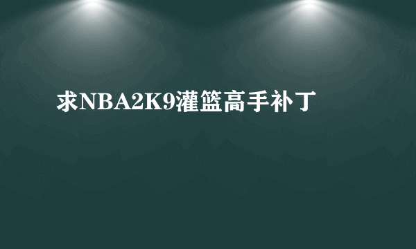 求NBA2K9灌篮高手补丁