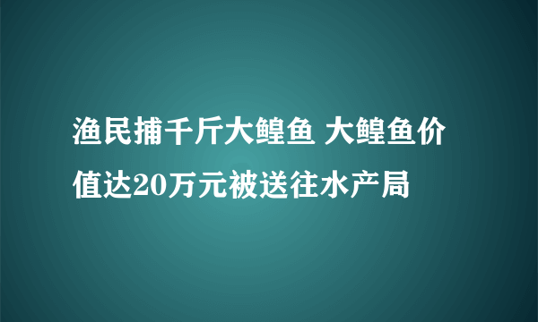 渔民捕千斤大鳇鱼 大鳇鱼价值达20万元被送往水产局