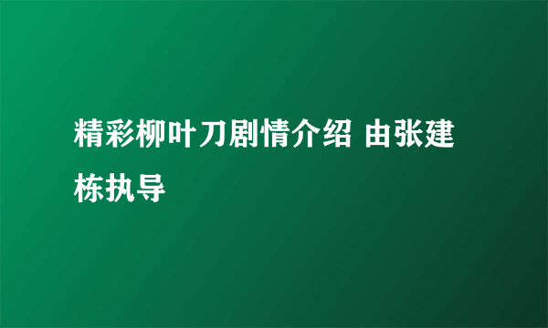 精彩柳叶刀剧情介绍 由张建栋执导