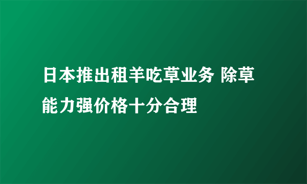 日本推出租羊吃草业务 除草能力强价格十分合理