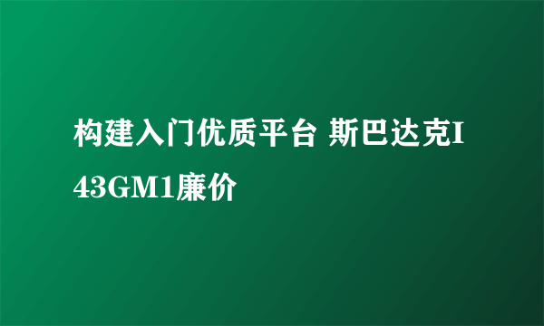 构建入门优质平台 斯巴达克I43GM1廉价