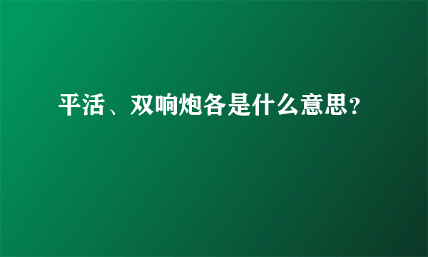 平活、双响炮各是什么意思？