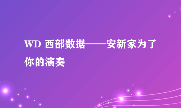 WD 西部数据——安新家为了你的演奏