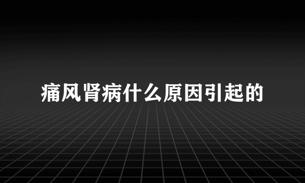 痛风肾病什么原因引起的